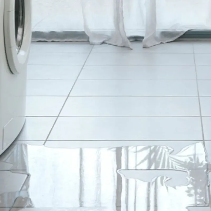 Appliance Leak Cleanup in Carville, LA