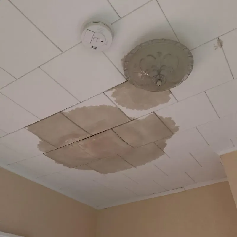 Ceiling Water Damage Repair in Carville, LA
