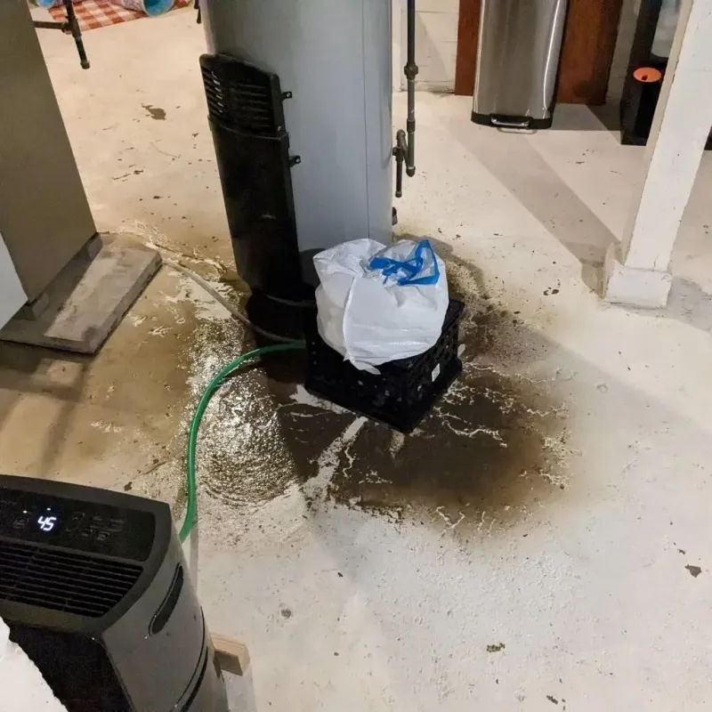 Sewage Backup Cleanup Service in Carville, LA